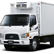 Cabin mộc xe tải Hyundai HD65